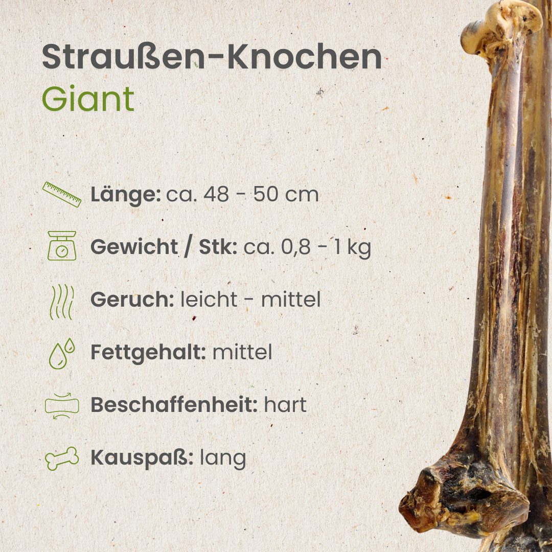 Straußen-Knochen, Giant