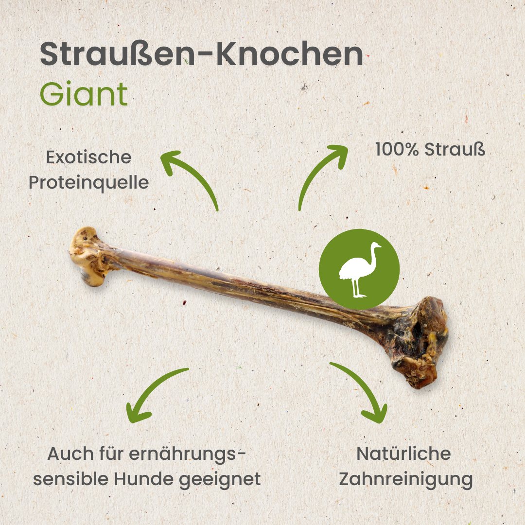 Straußen-Knochen, Giant