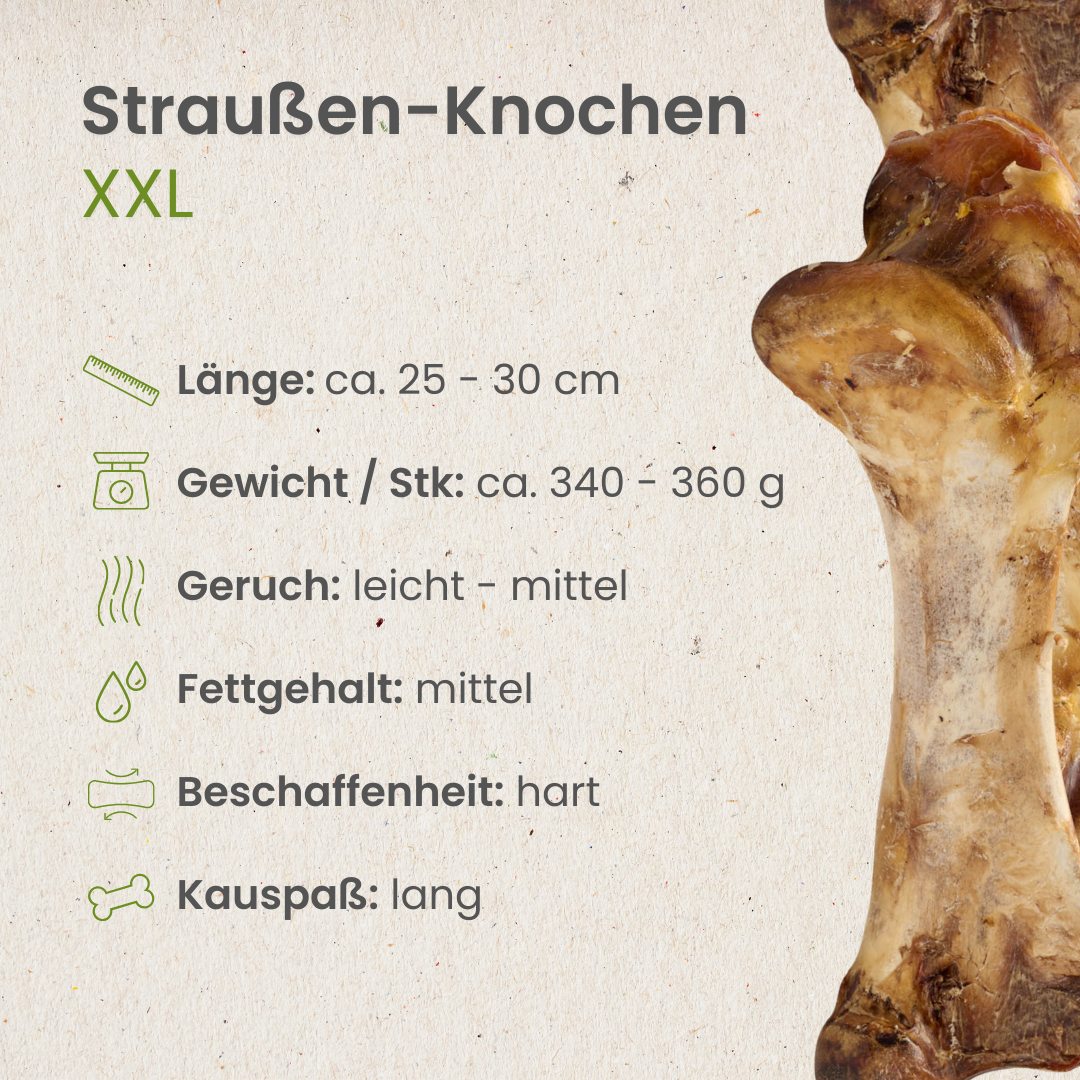 Straußen-Knochen XXL