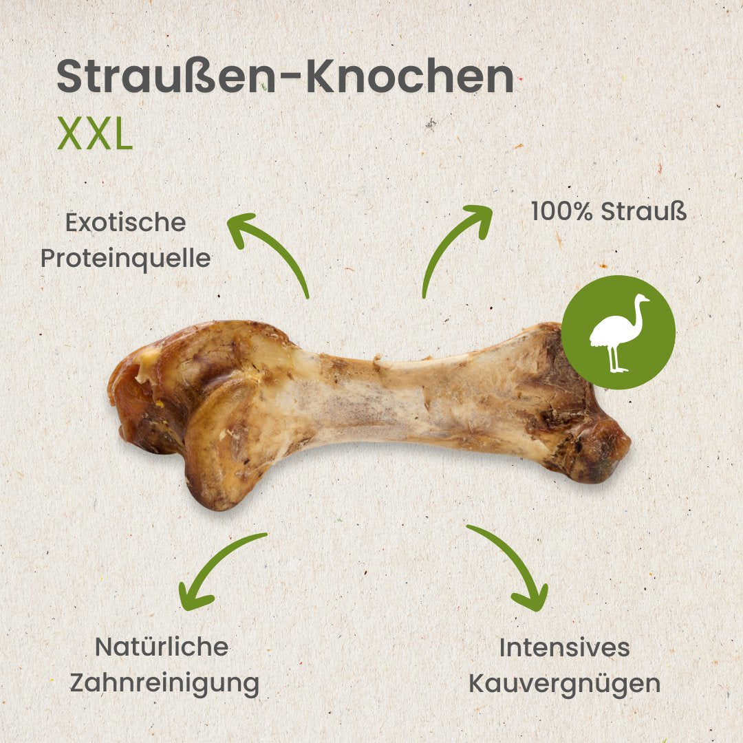 Straußen-Knochen XXL