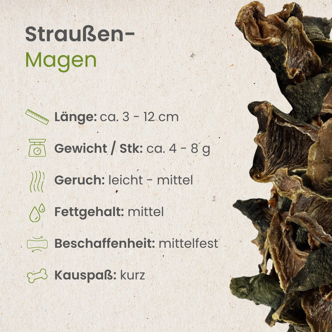 Straußen-Magen