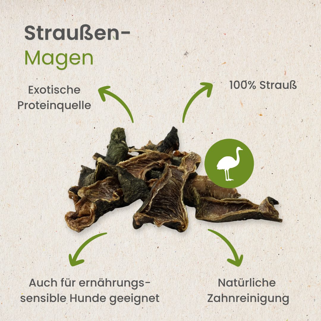 Straußen-Magen