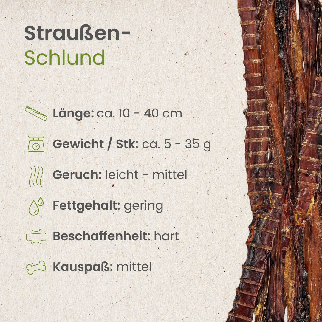 Straußen-Schlund