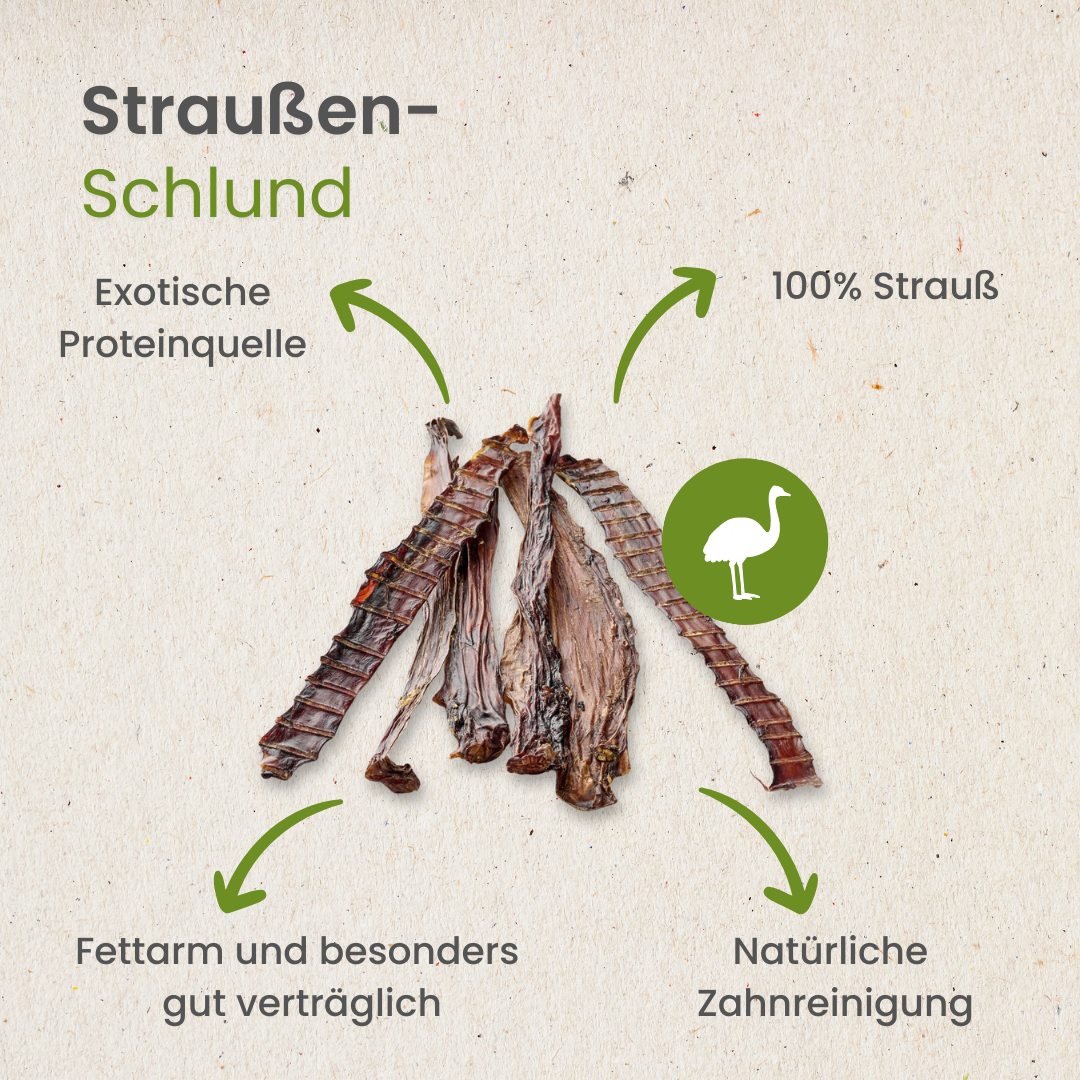 Straußen-Schlund