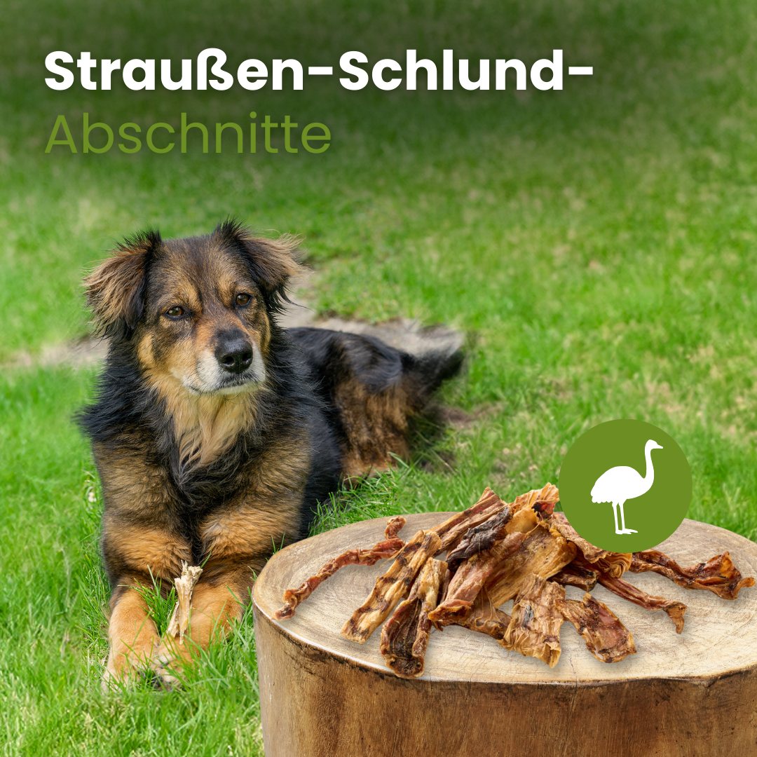 Straußen-Schlund-Abschnitte