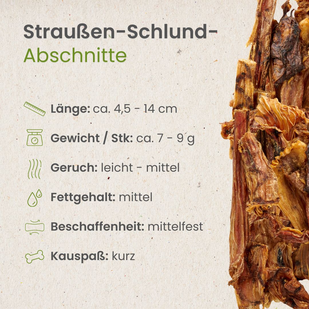 Straußen-Schlund-Abschnitte