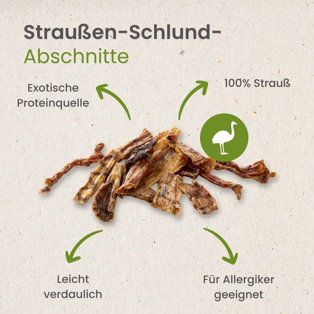 Straußen-Schlund-Abschnitte