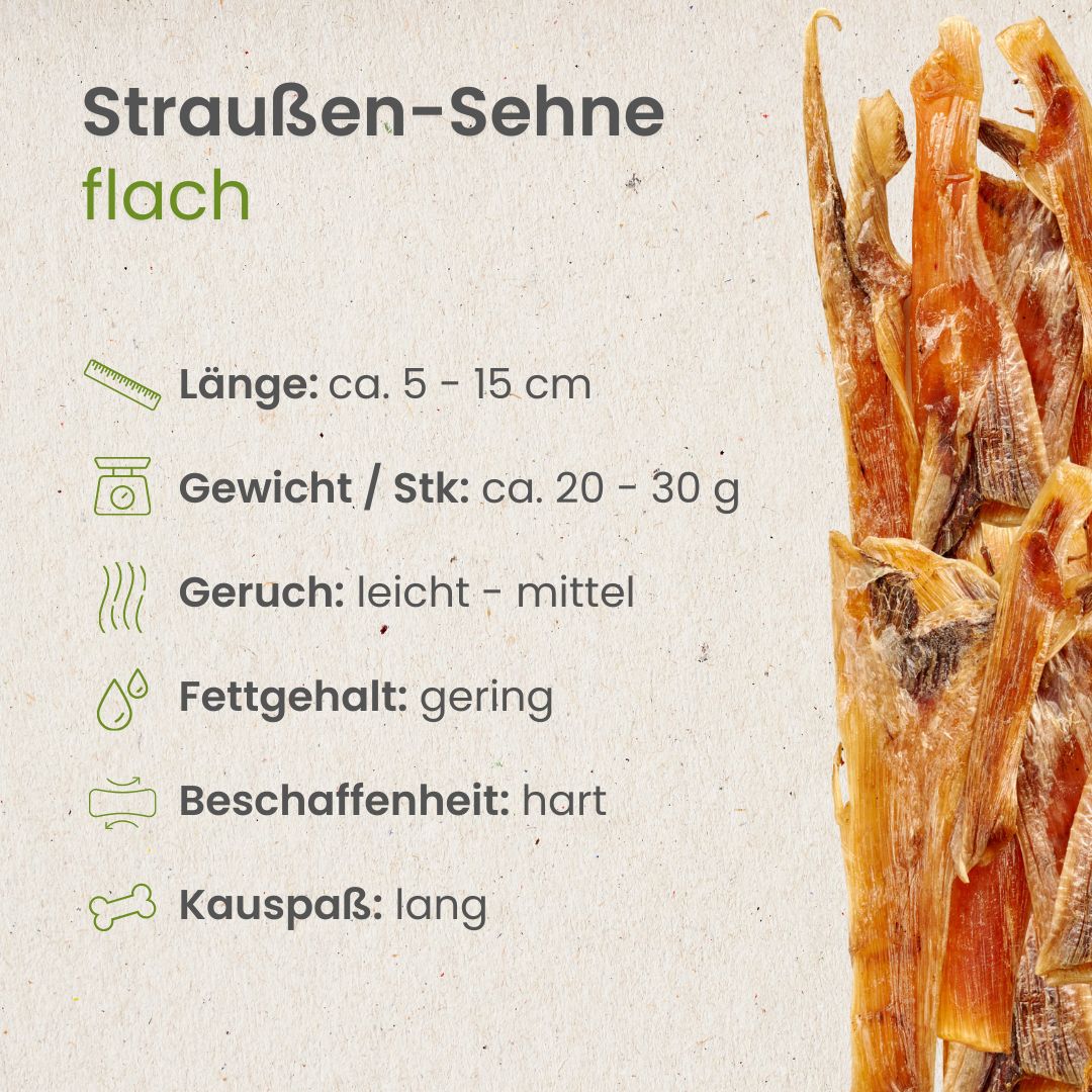 Straußensehnen flach