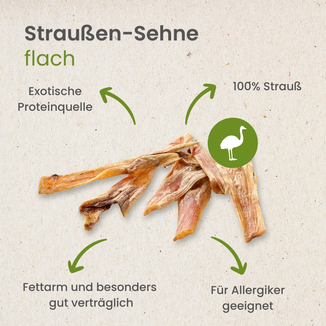 Straußensehnen flach