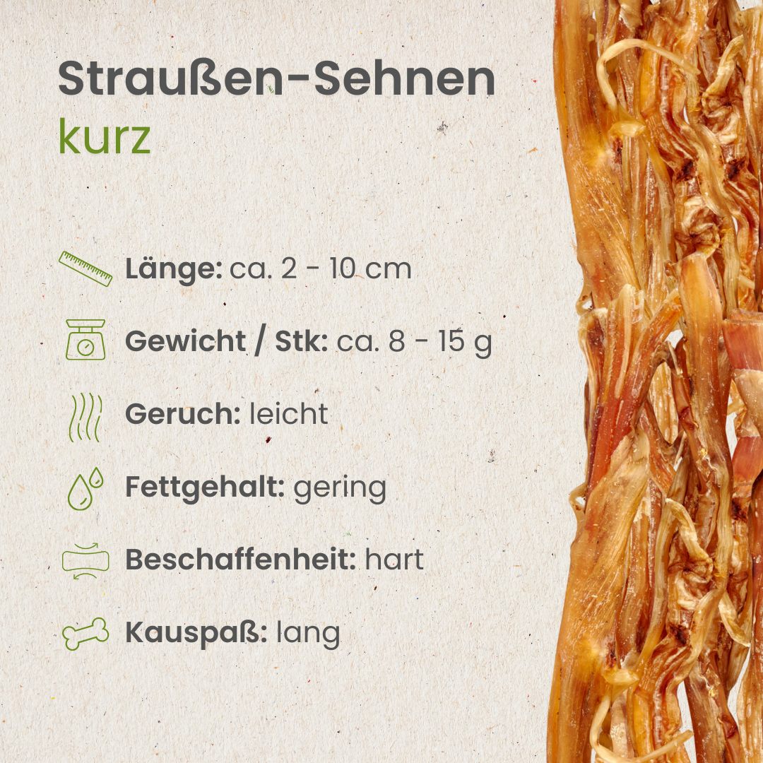 Straußen-Sehnen, kurz