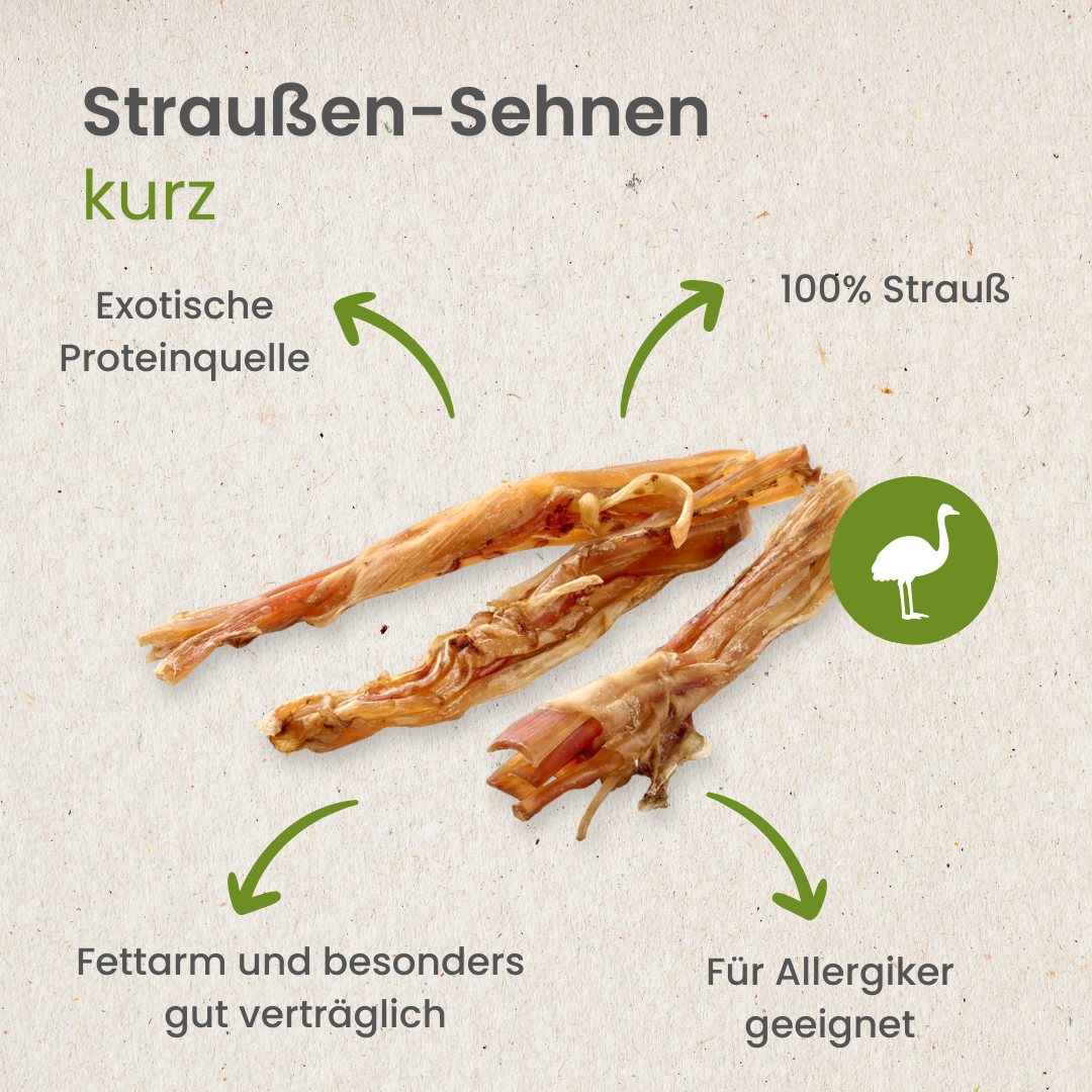 Straußen-Sehnen, kurz