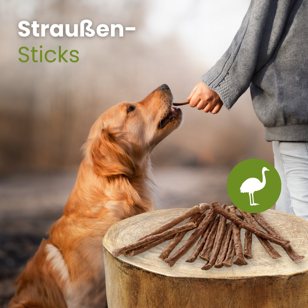 Straußen-Sticks