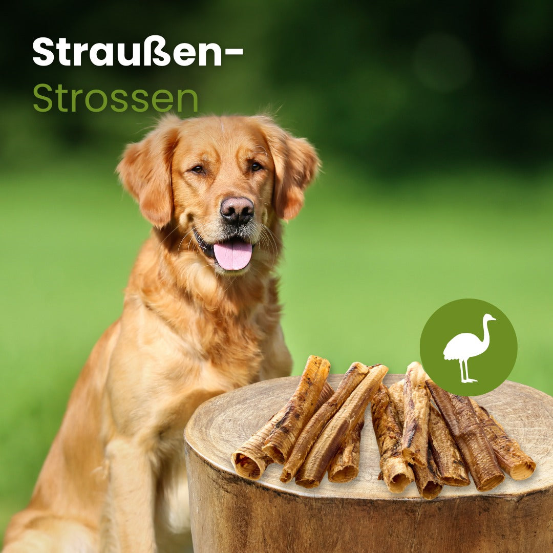 Straußen-Strossen