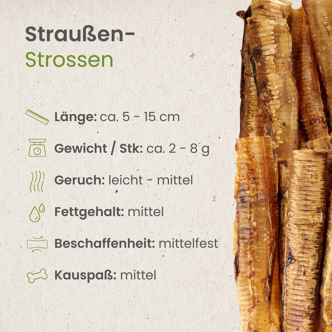 Straußen-Strossen