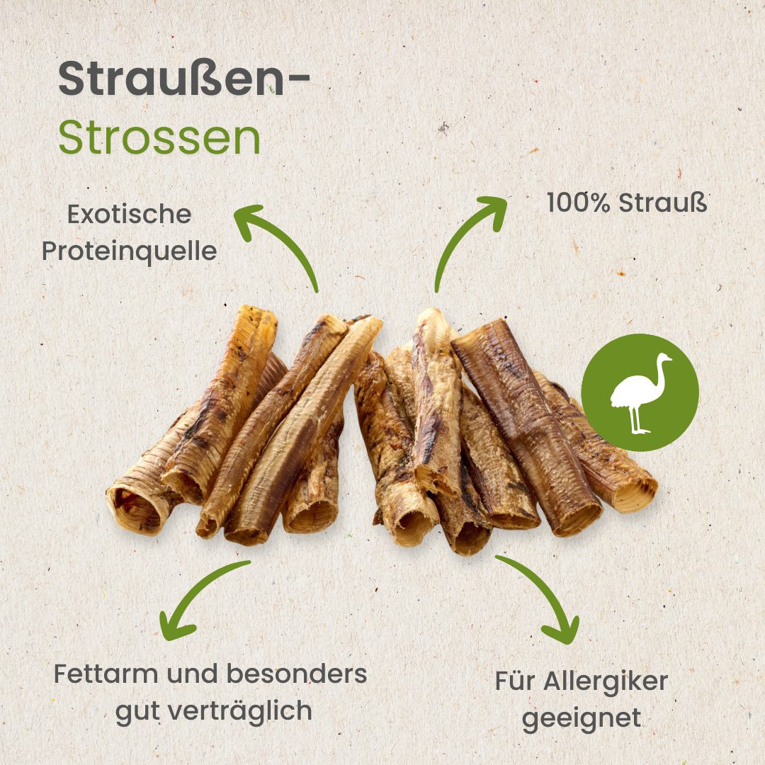 Straußen-Strossen