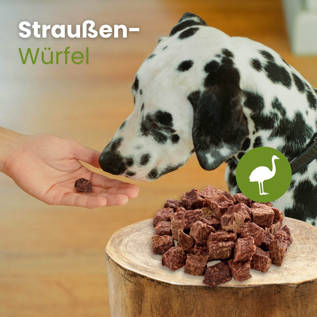 Straußen-Würfel