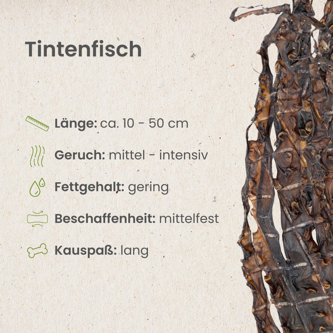 Tintenfisch