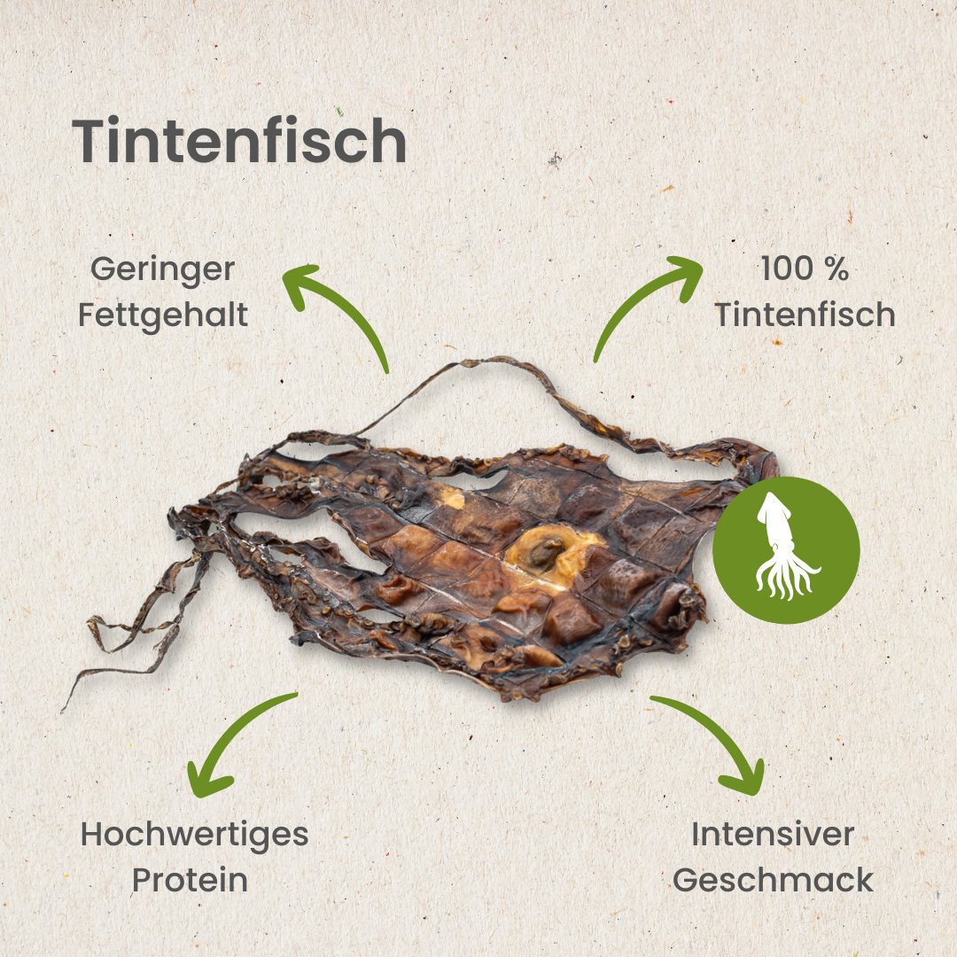 Tintenfisch