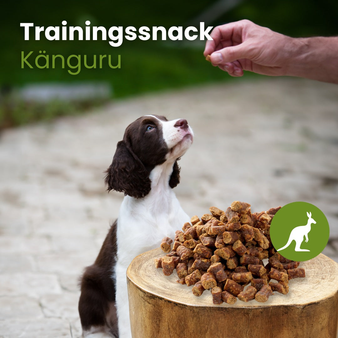 Känguru-Sticks-Trainingssnack