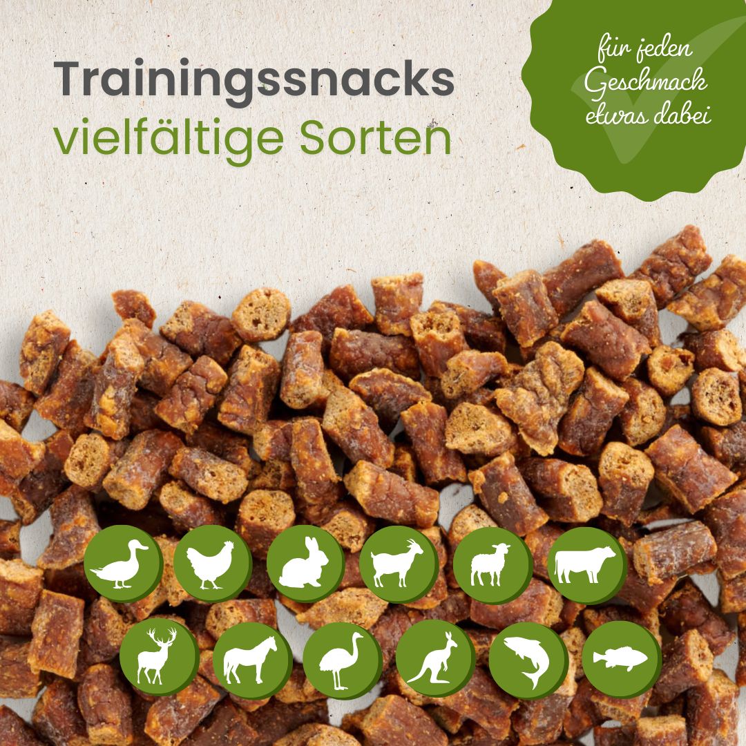 Känguru-Sticks-Trainingssnack