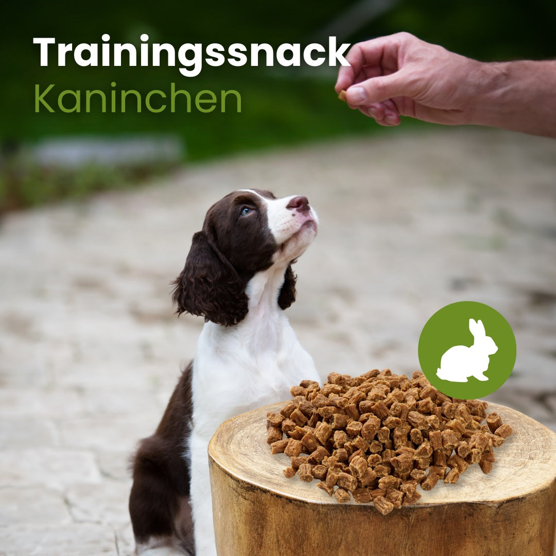 Kaninchen-Sticks-Trainingssnack