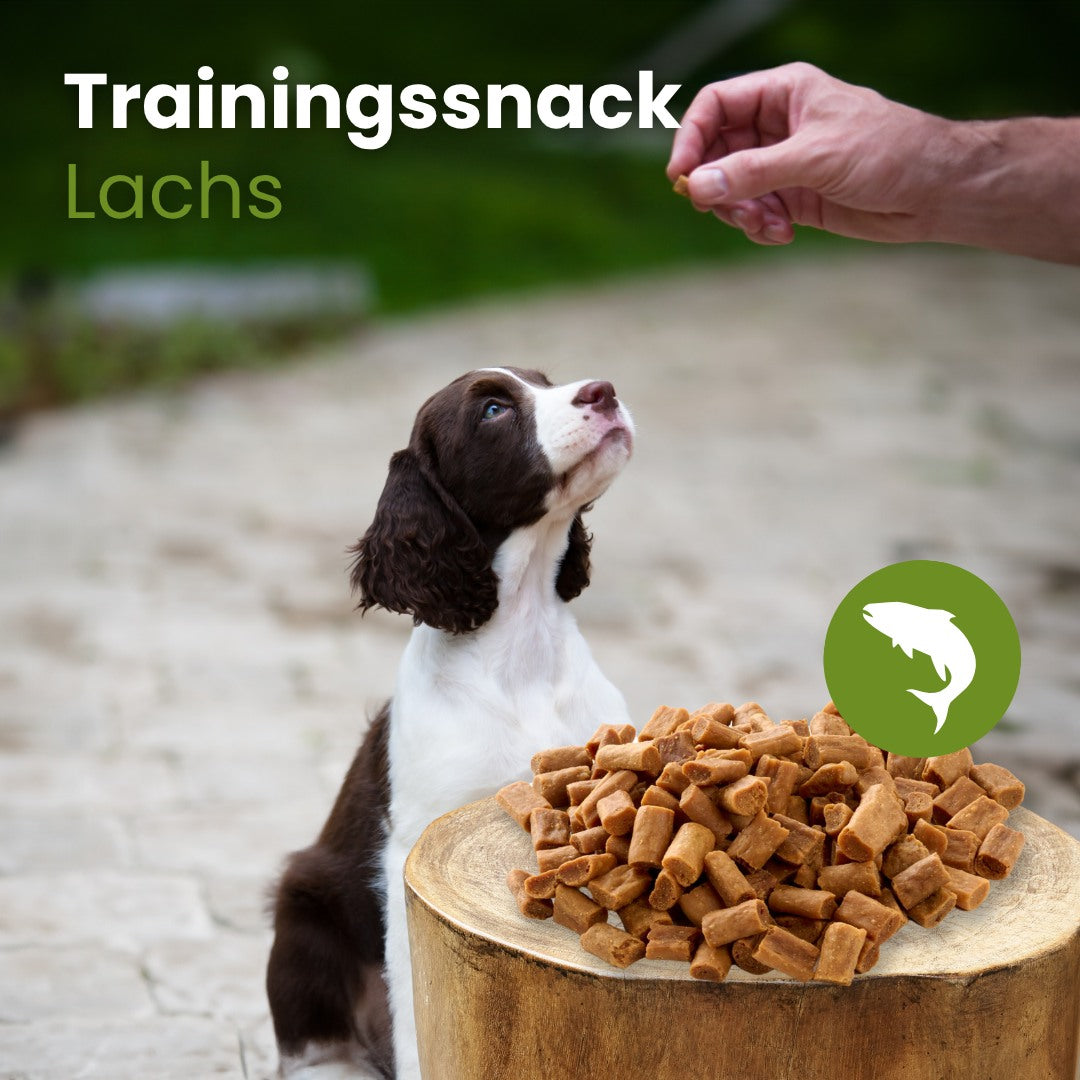 Lachs-Sticks-Trainingssnack