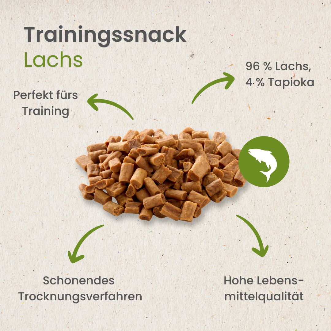 Lachs-Sticks-Trainingssnack