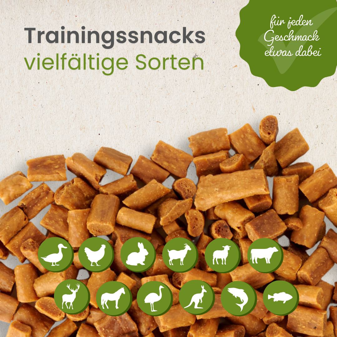 Lachs-Sticks-Trainingssnack