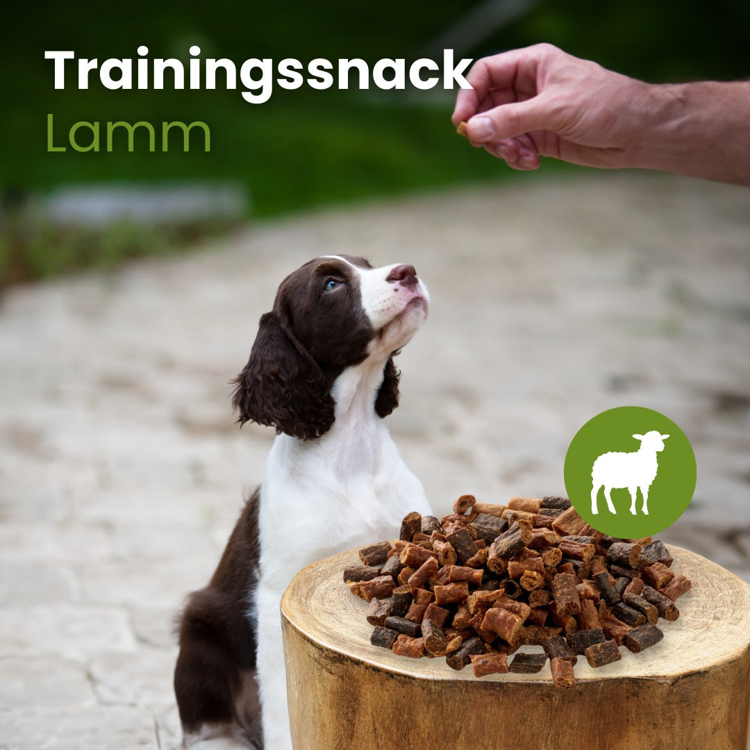 Lamm-Sticks-Trainingssnack