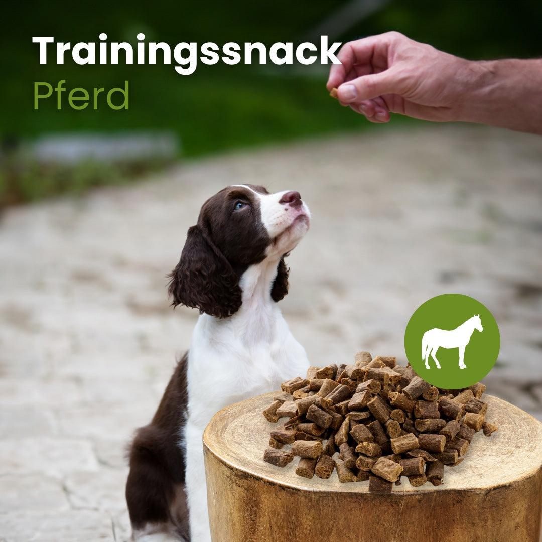 Pferde-Sticks-Trainingssnack