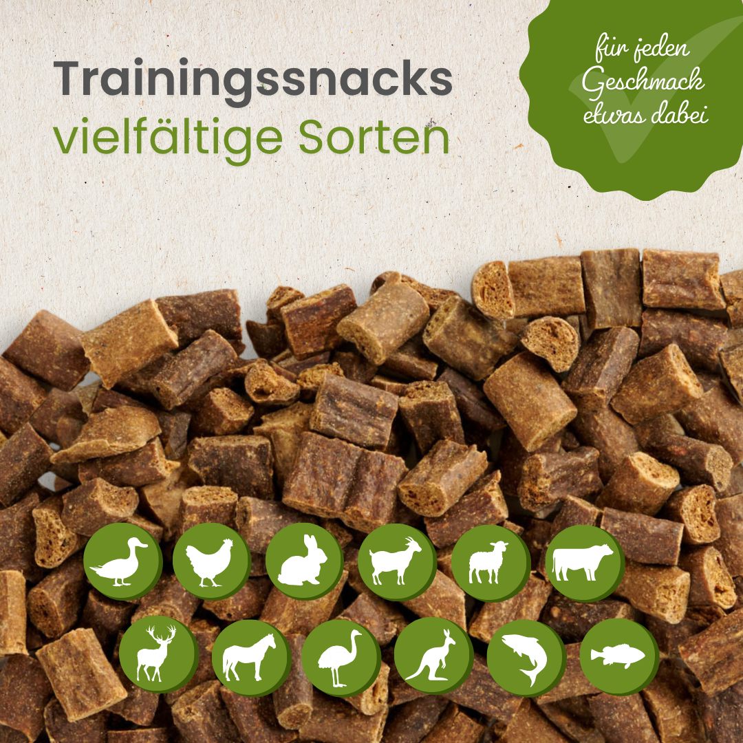 Pferde-Sticks-Trainingssnack
