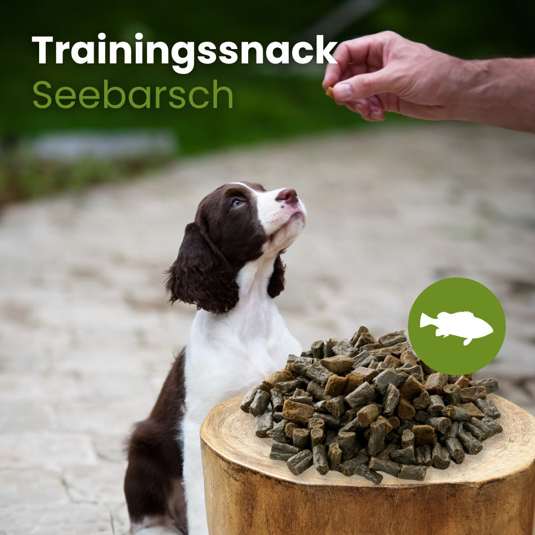 Seebarsch-Sticks-Trainingssnack