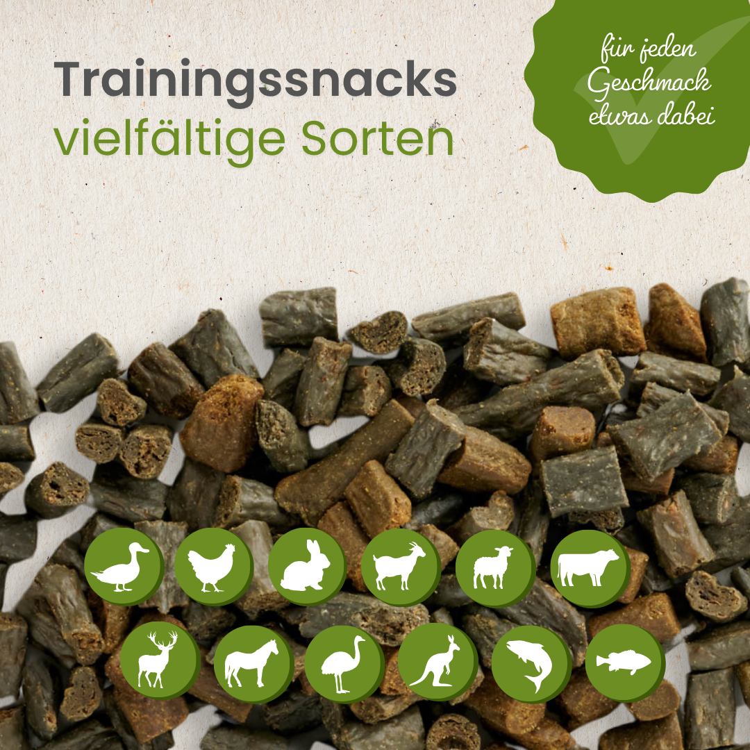 Seebarsch-Sticks-Trainingssnack