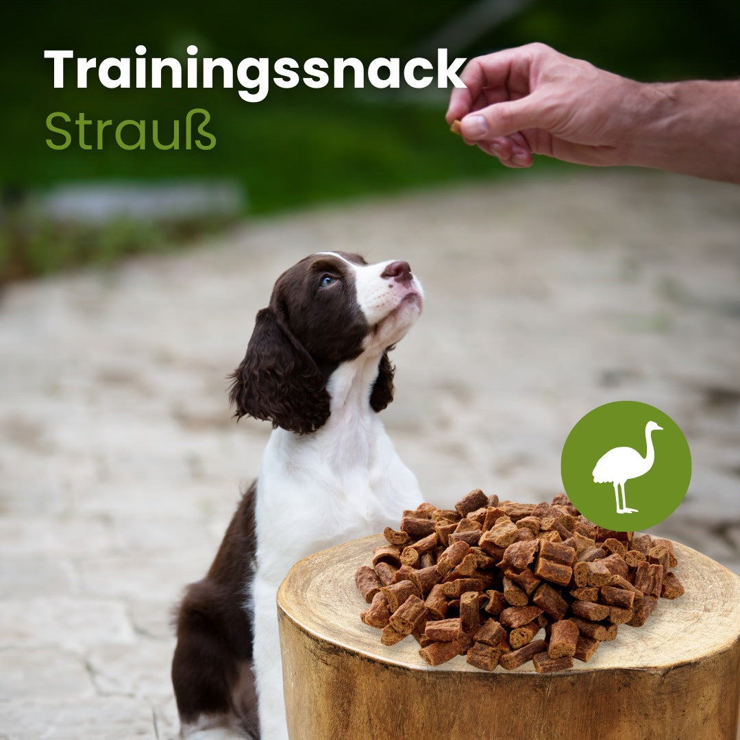 Straußen-Sticks-Trainingssnack