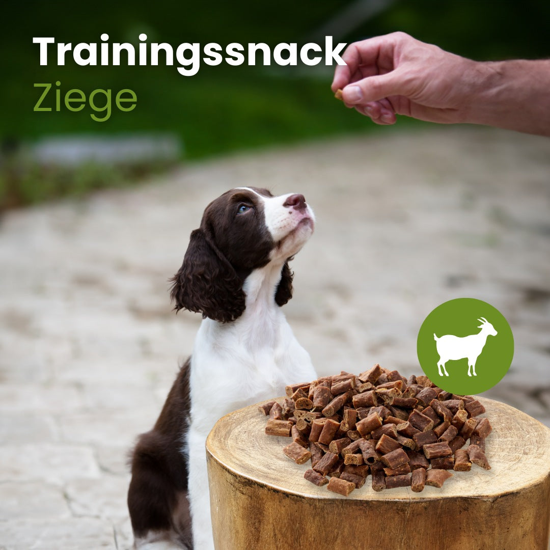 Ziegen-Sticks-Trainingssnack