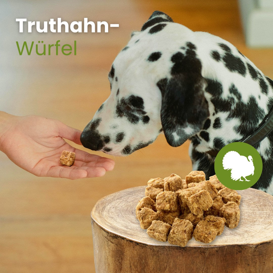 Truthahn-Würfel