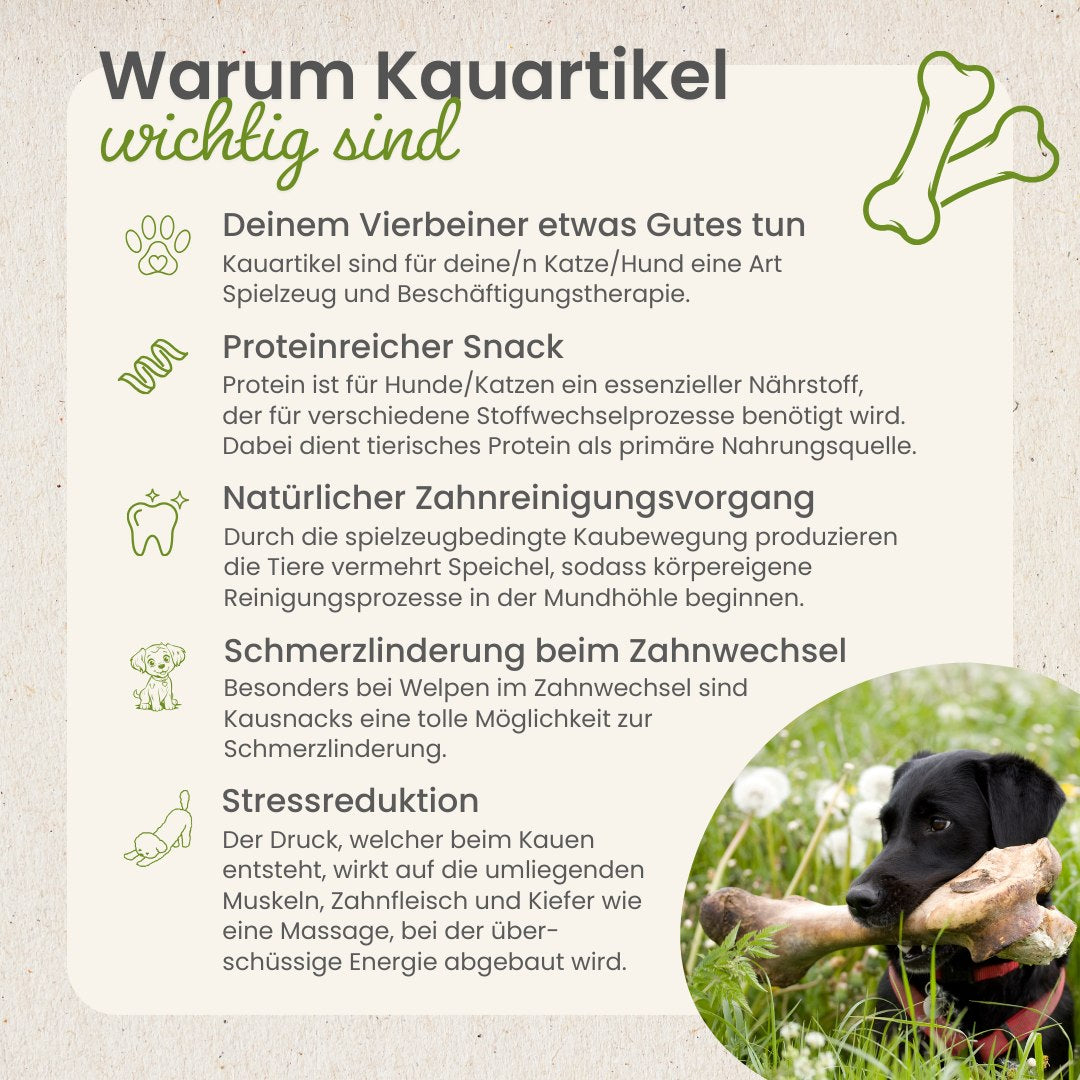 Truthahn-Würfel