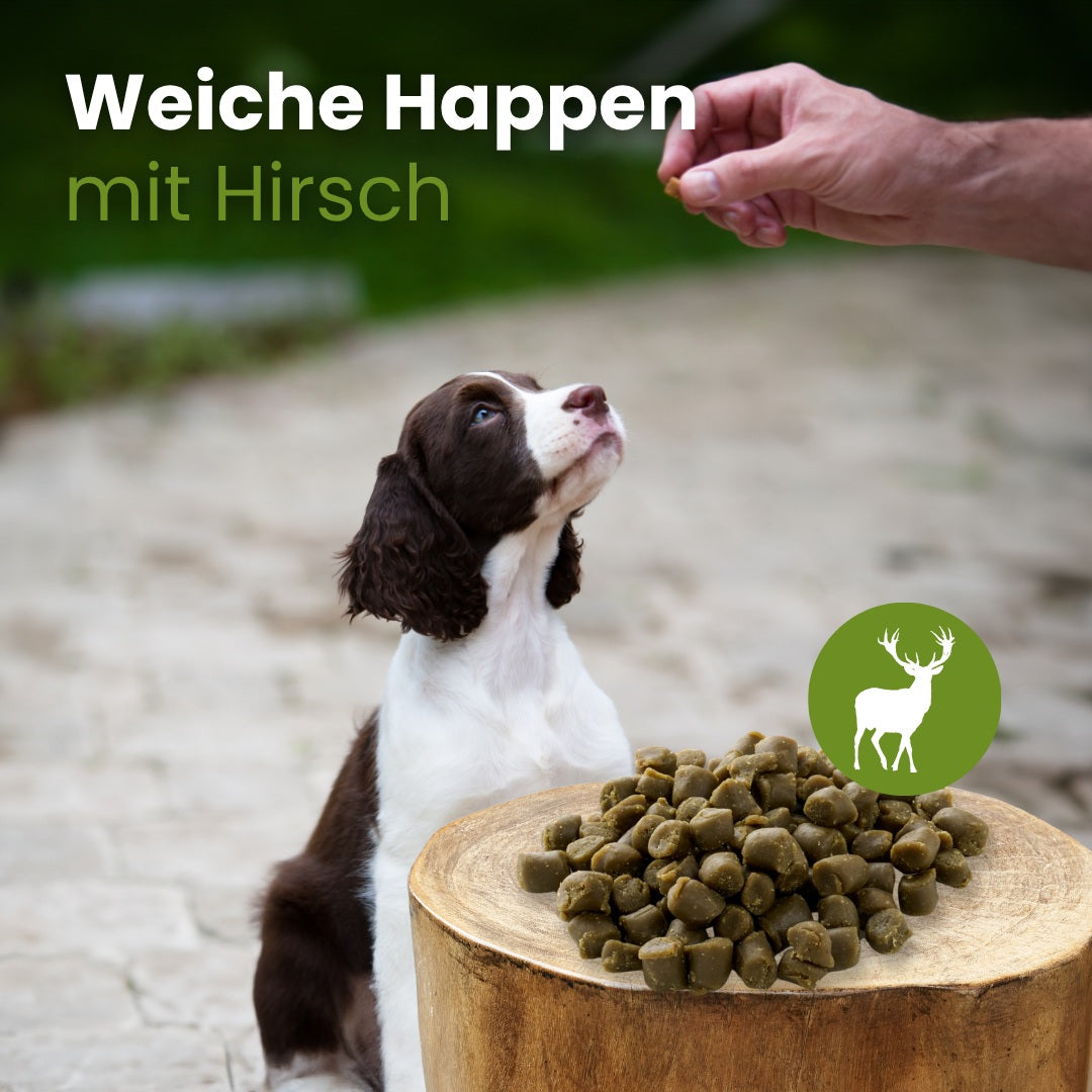 Weiche Happen mit Hirsch