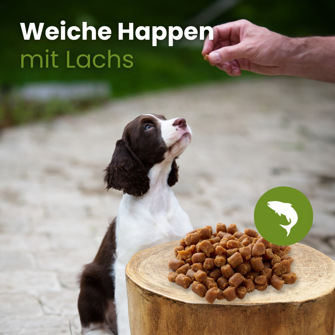 Weiche Happen mit Lachs