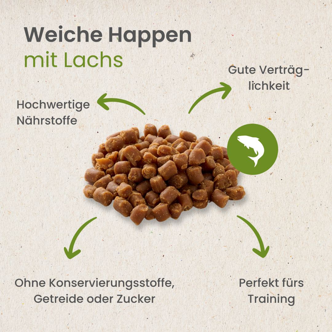 Weiche Happen mit Lachs