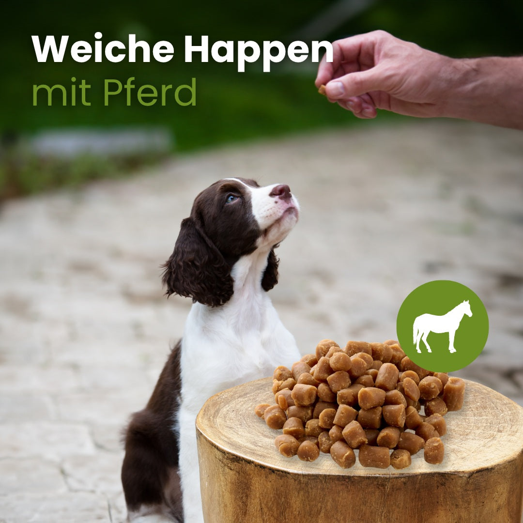 Weiche Happen mit Pferd