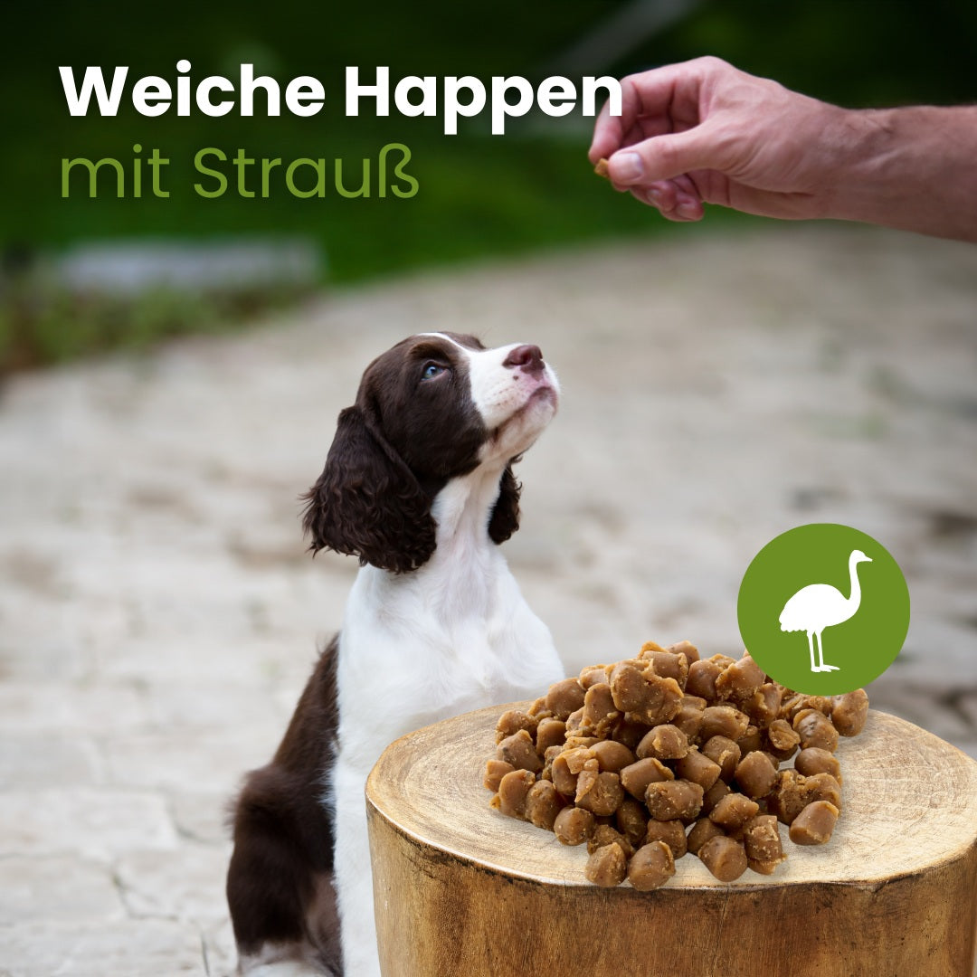Weiche Happen mit Strauß