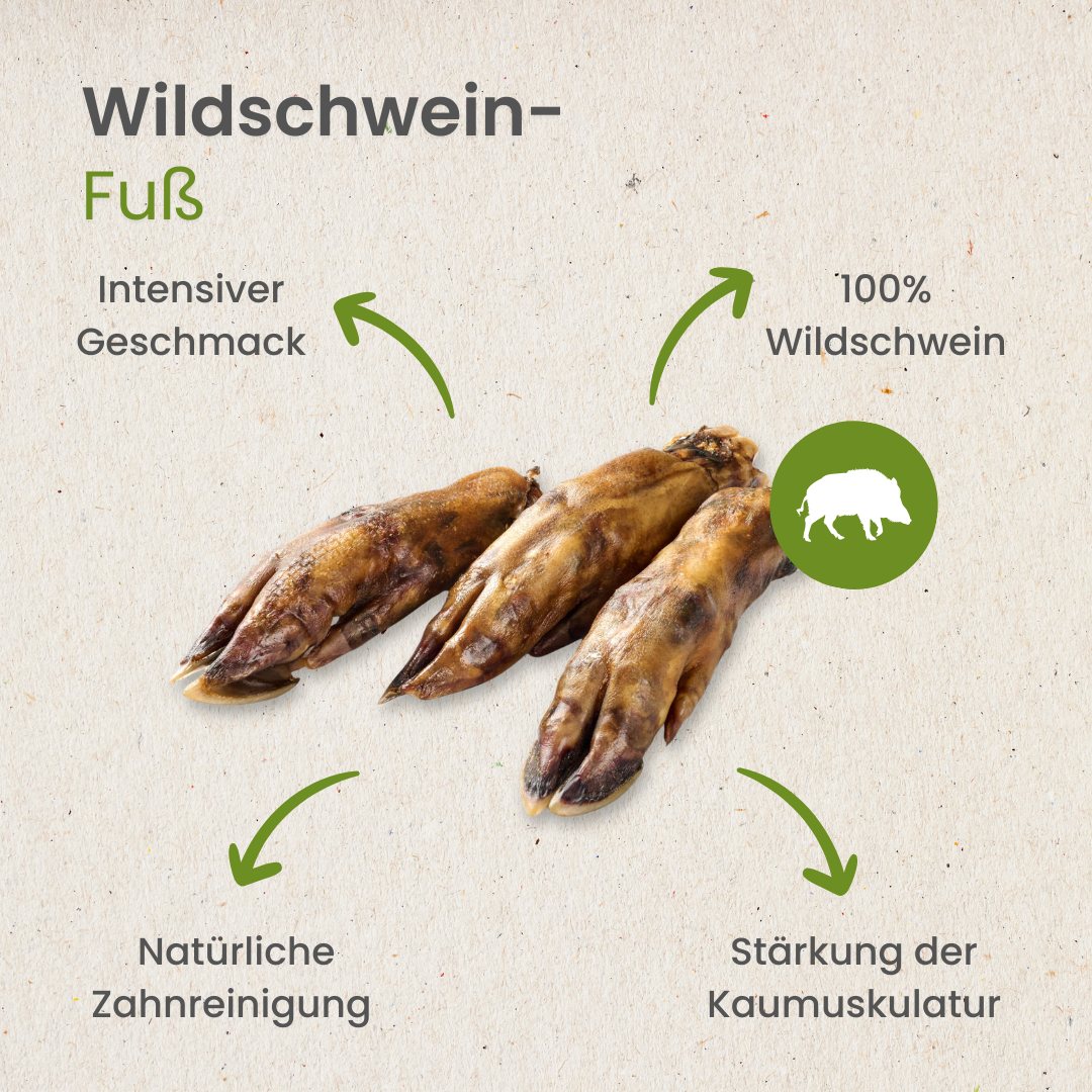 Wildschwein-Fuß