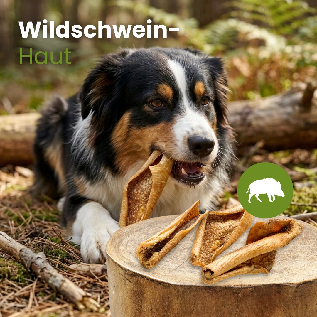 Wildschwein-Haut