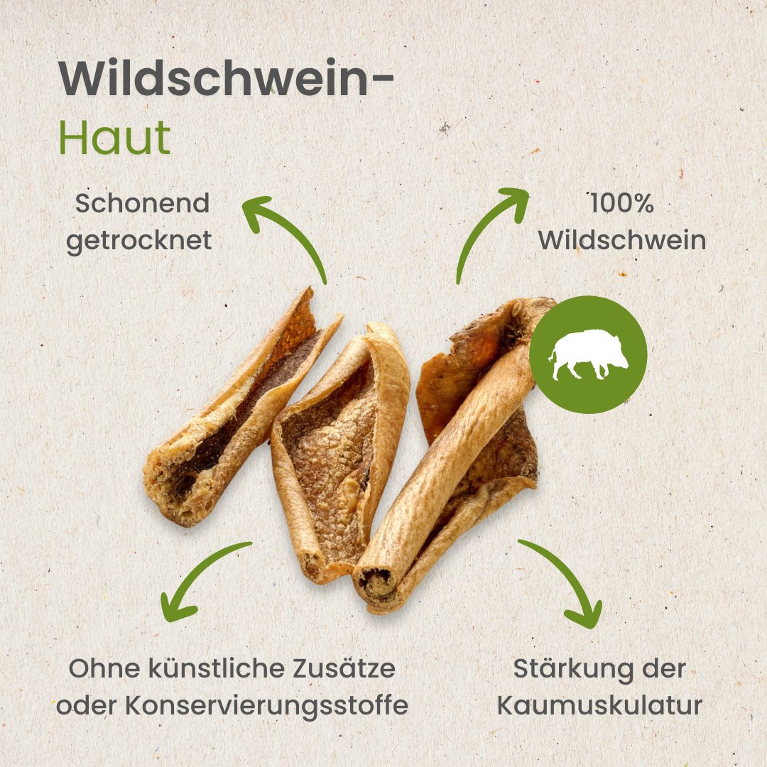 Wildschwein-Haut