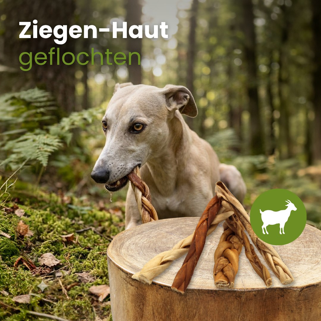 Ziegen-Haut, geflochten