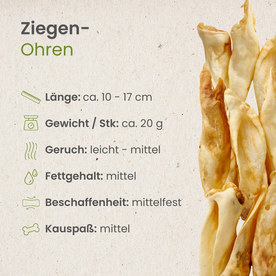 Ziegen-Ohren