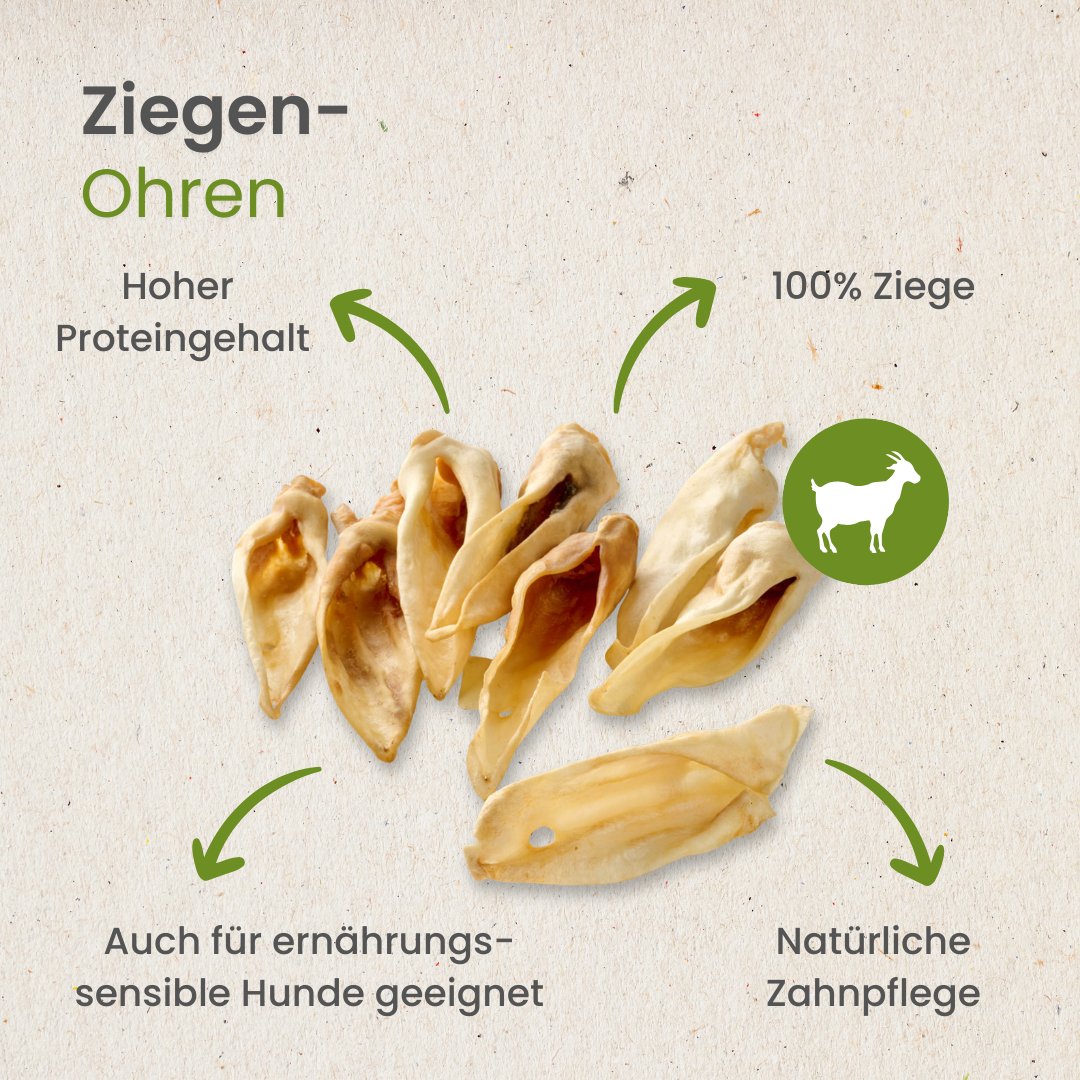 Ziegen-Ohren