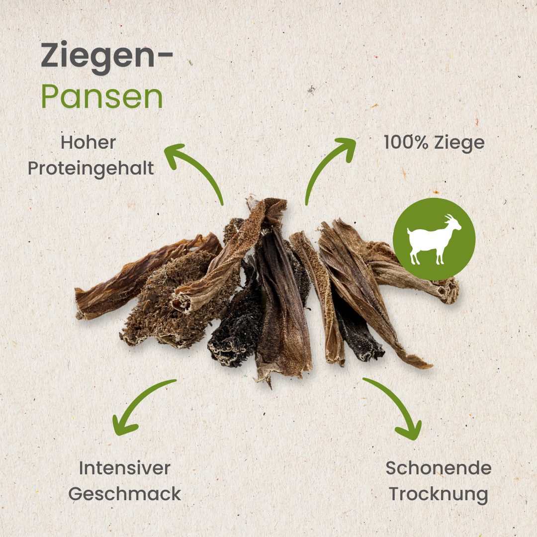 Ziegen-Pansen
