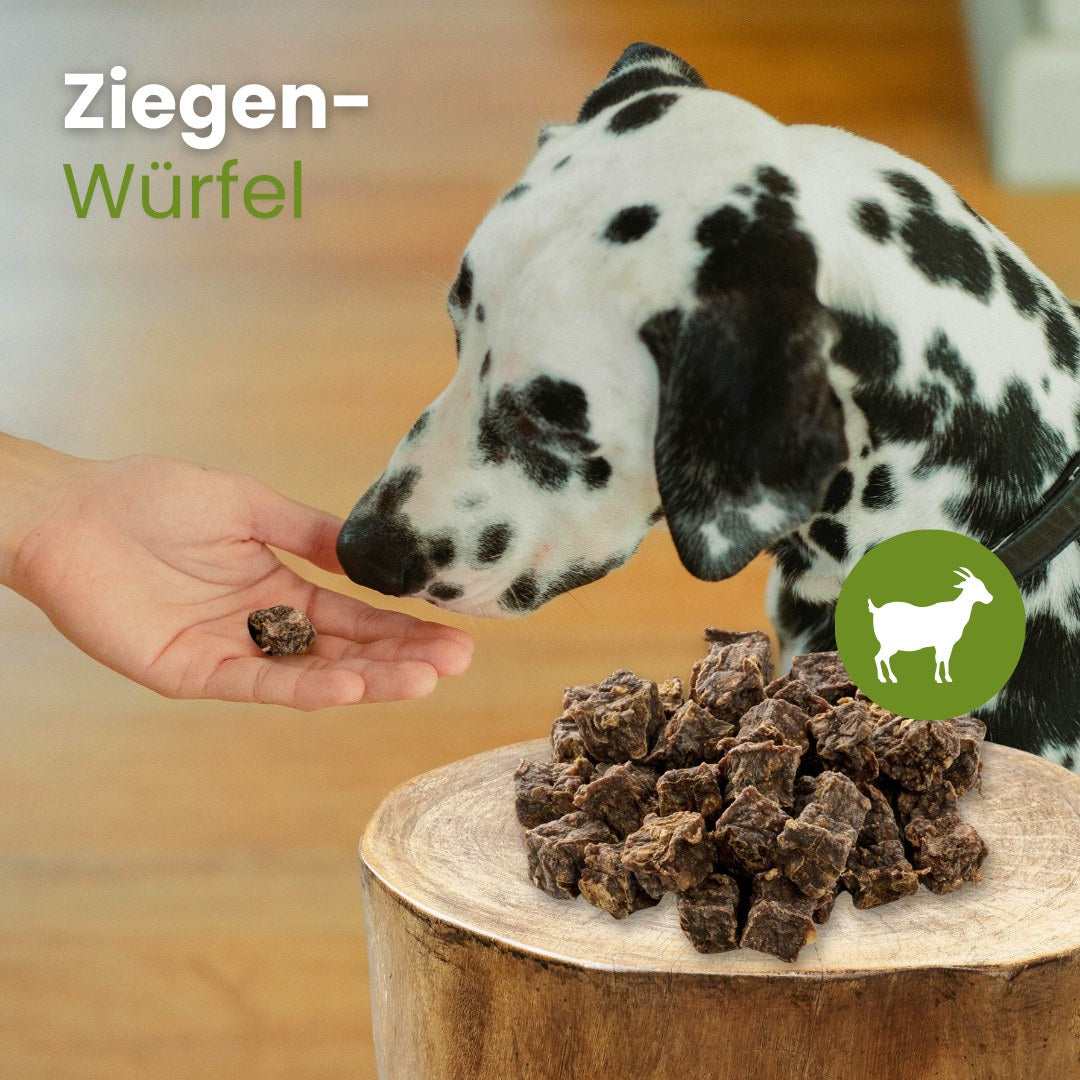 Ziegen-Würfel
